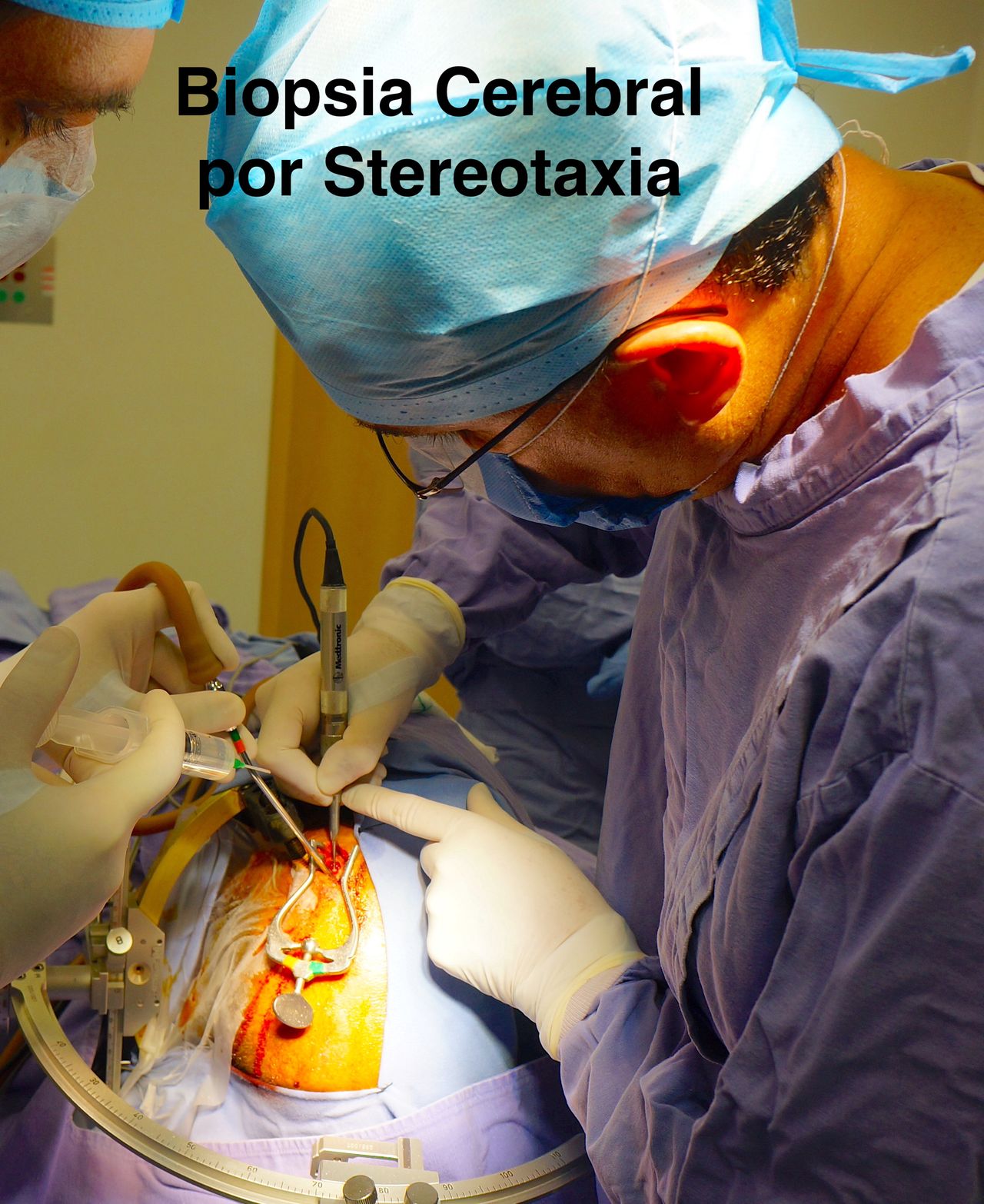 Jesus Rocha Maguey-24