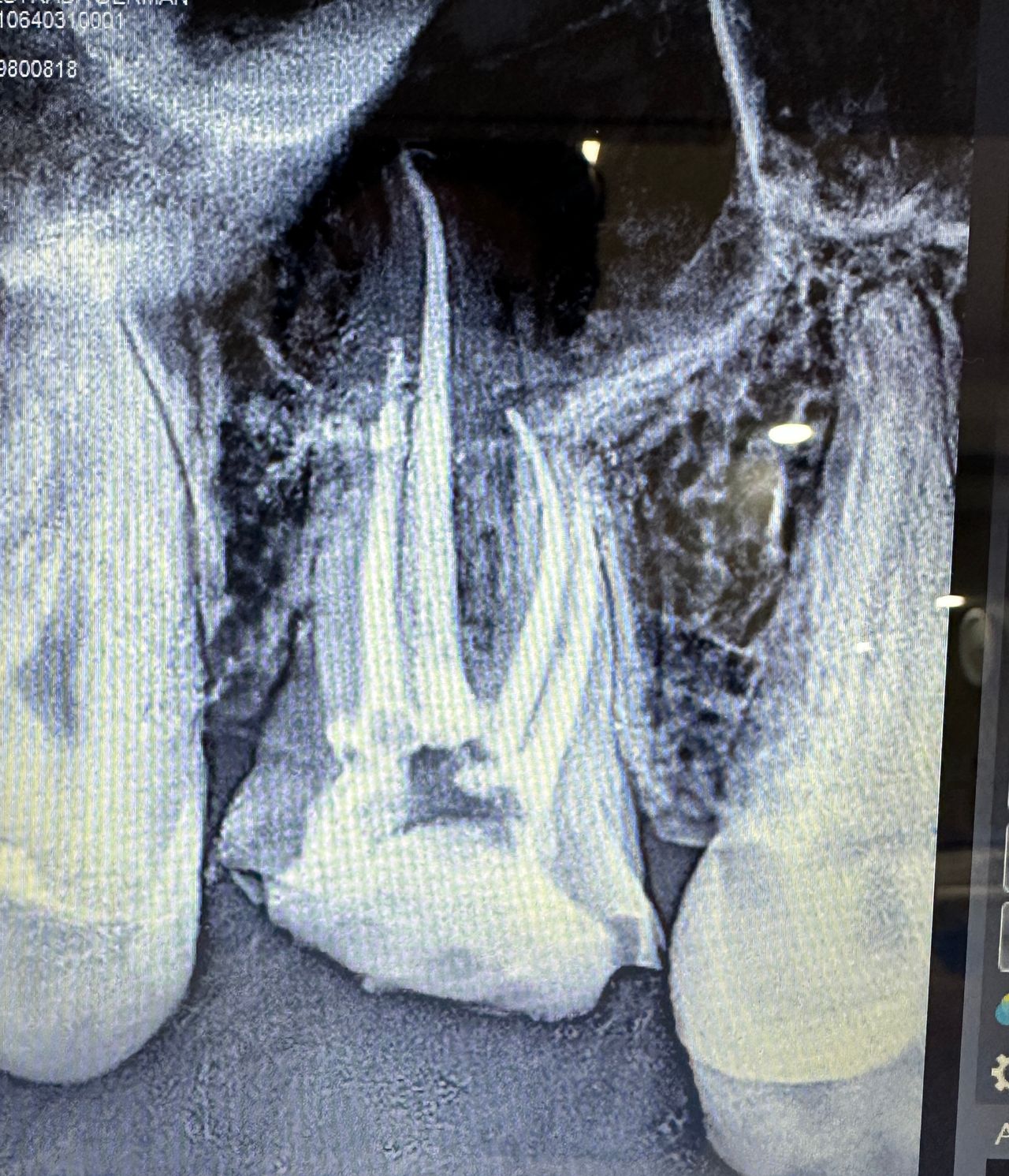 Daniel Ortiz Licea-6