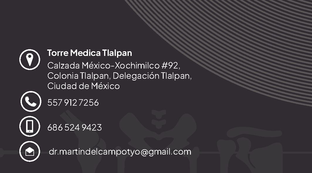 Hector Javier Martin Del Campo Martinez-5