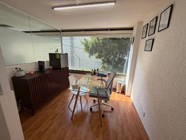 Fernanda Villalva-1