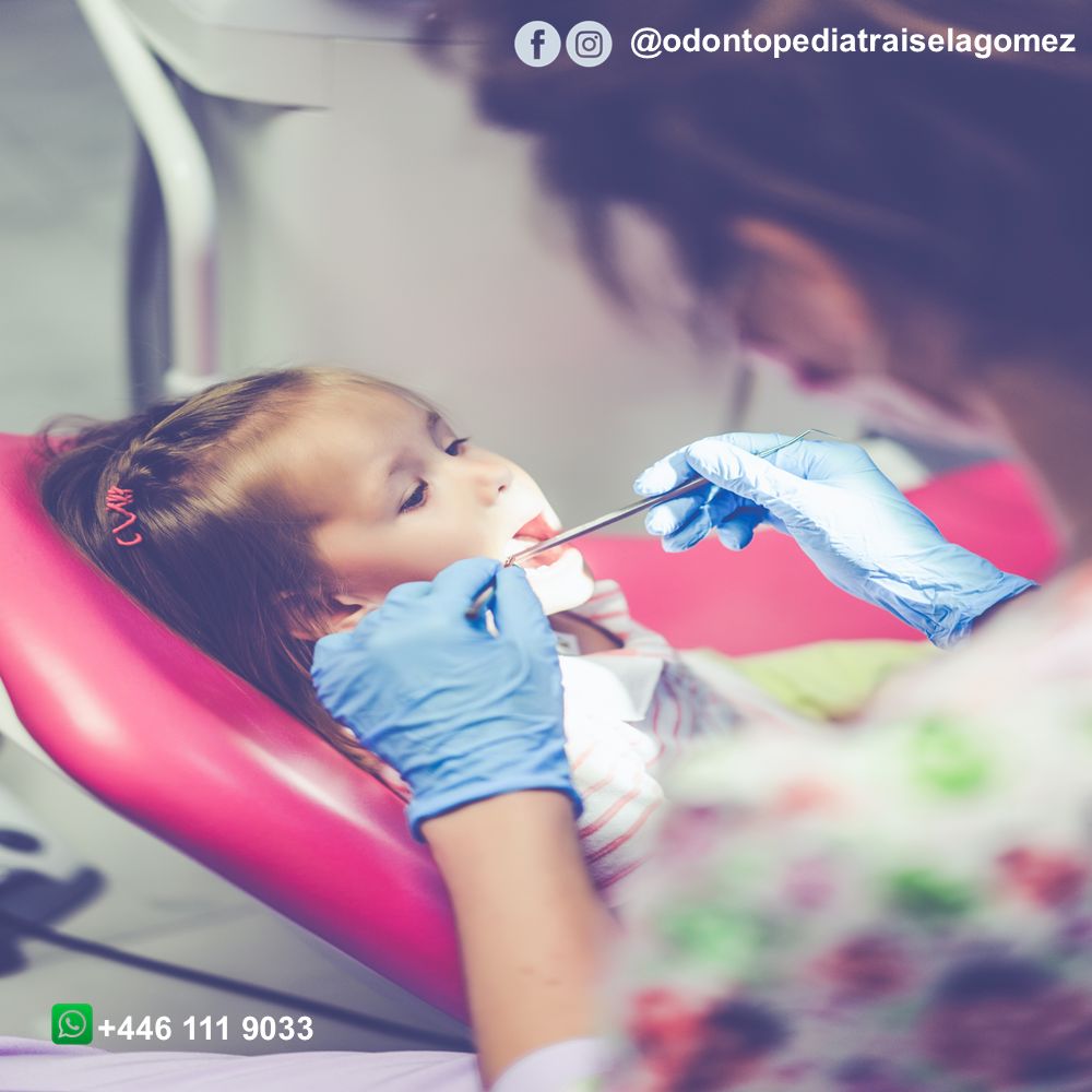 Isela Gómez Zebadúa-5