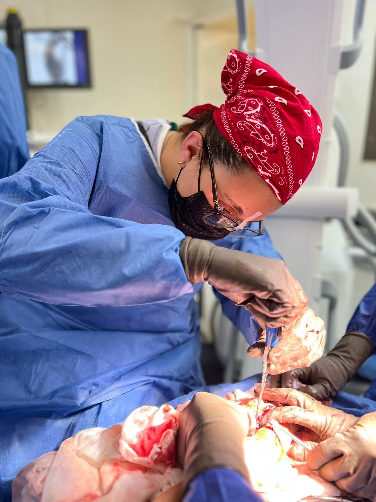 Alexandra Celis Ríos-11