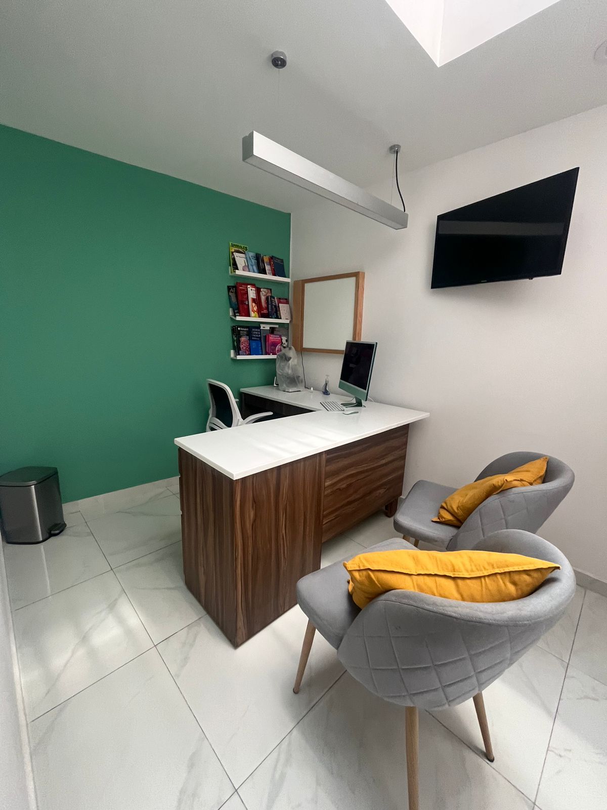 César Omar Vargas Serafín-1