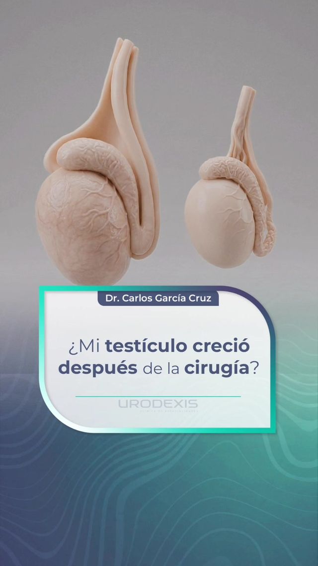 Carlos García Cruz-25