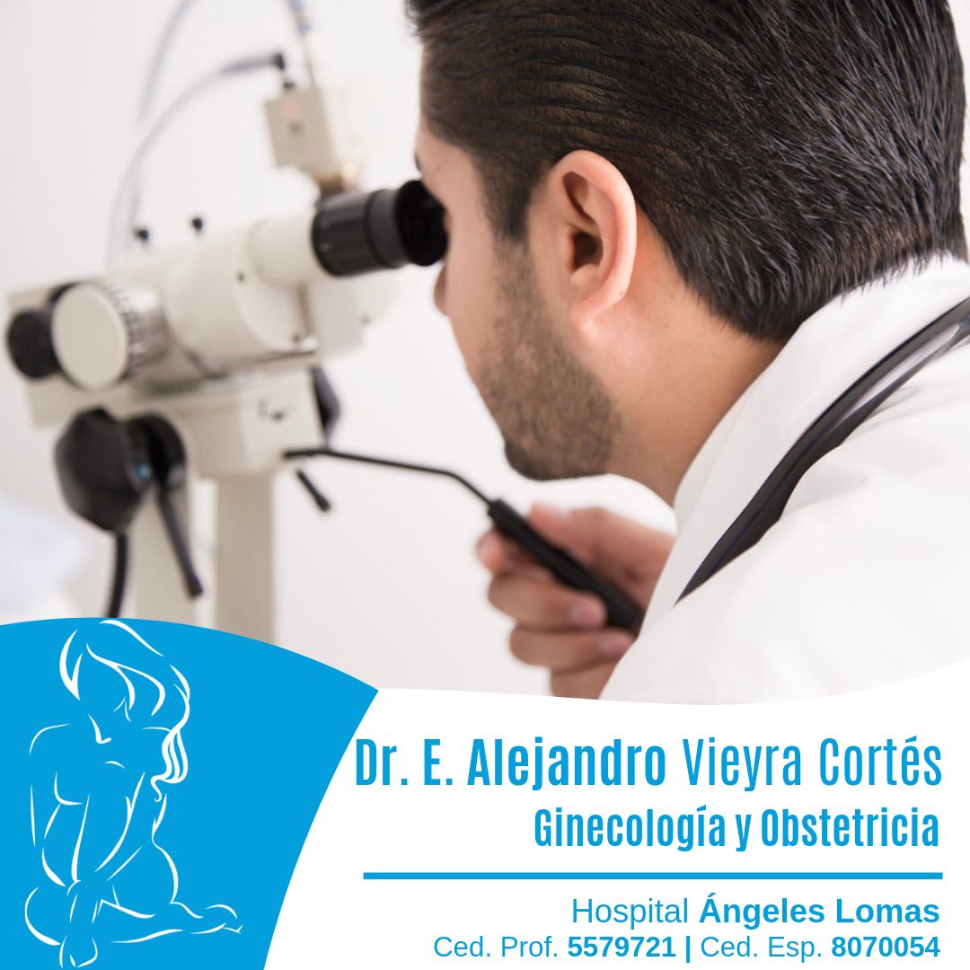 Edmundo Alejandro Vieyra Cortes-12