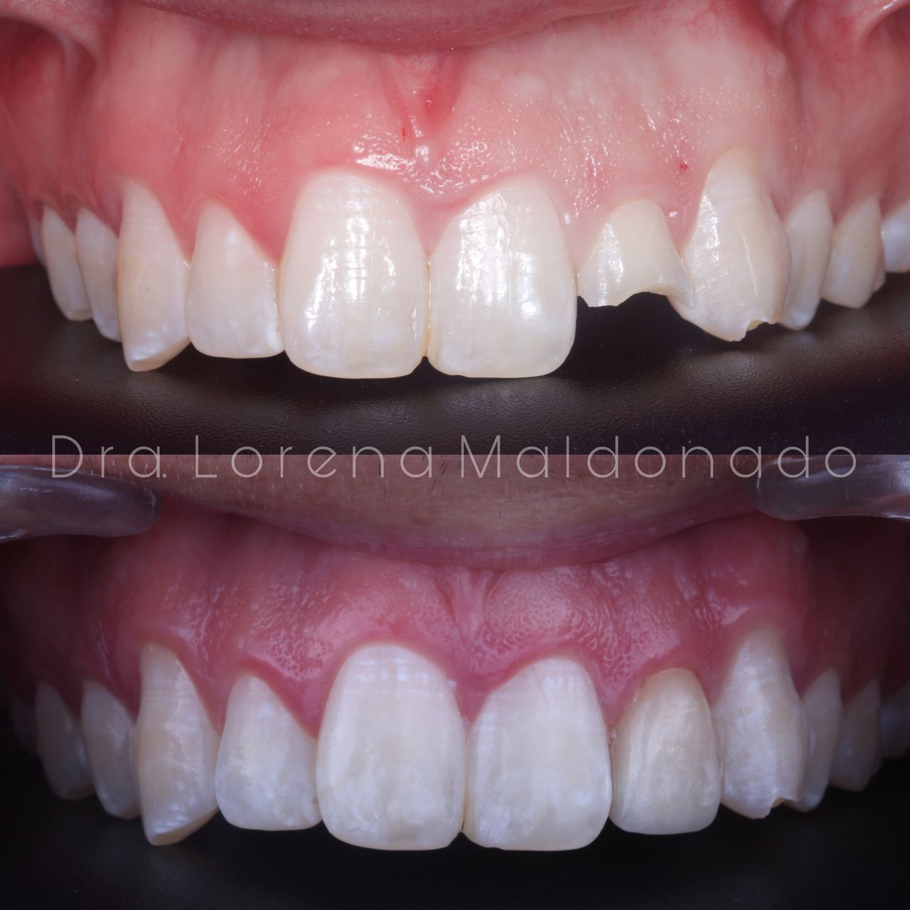 Ana Lorena Maldonado Munguia-17