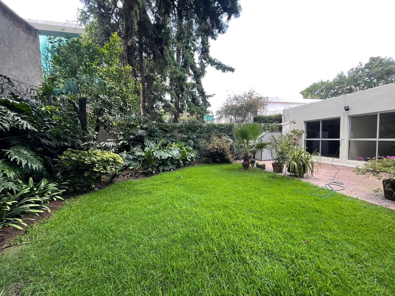 Stella Jasmin Romero García-4