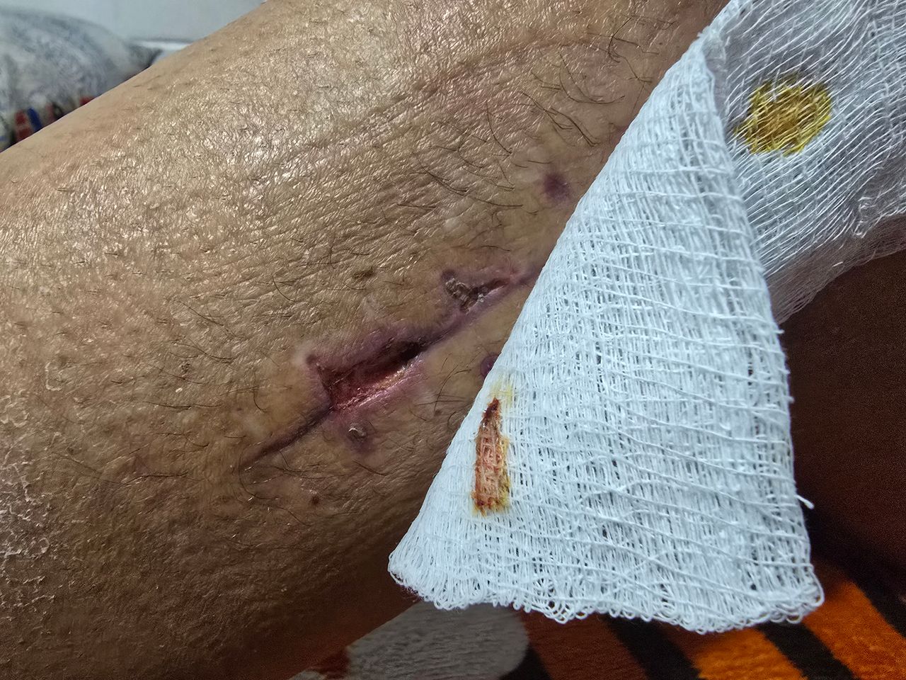 Jose Manuel Saenz Giles-0