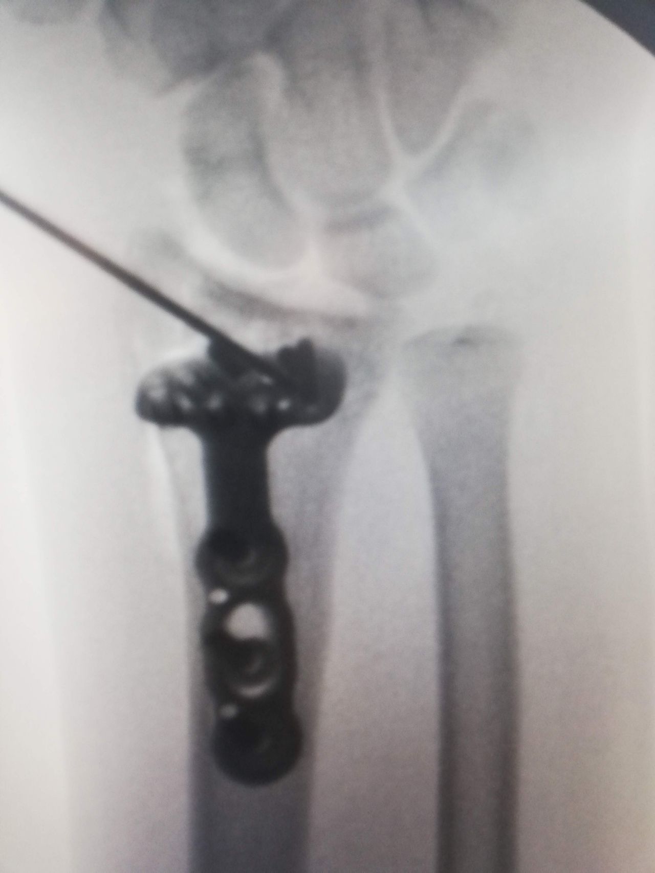 Jesús Guerra Jasso-15