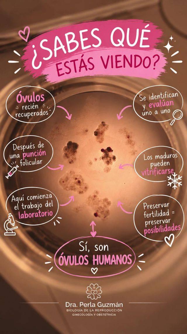 Perla Guzmán-12