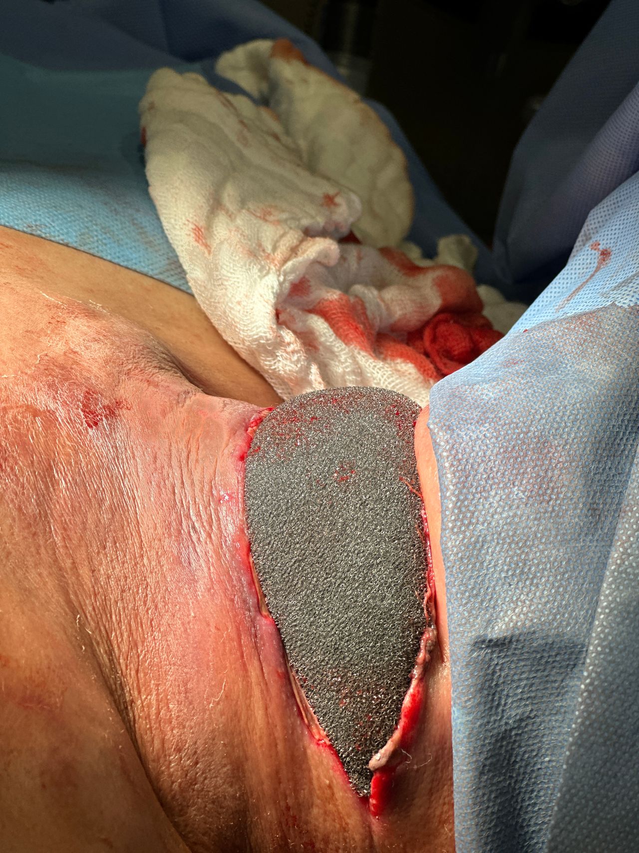 Monica Isabel Clavel Nicolas-6