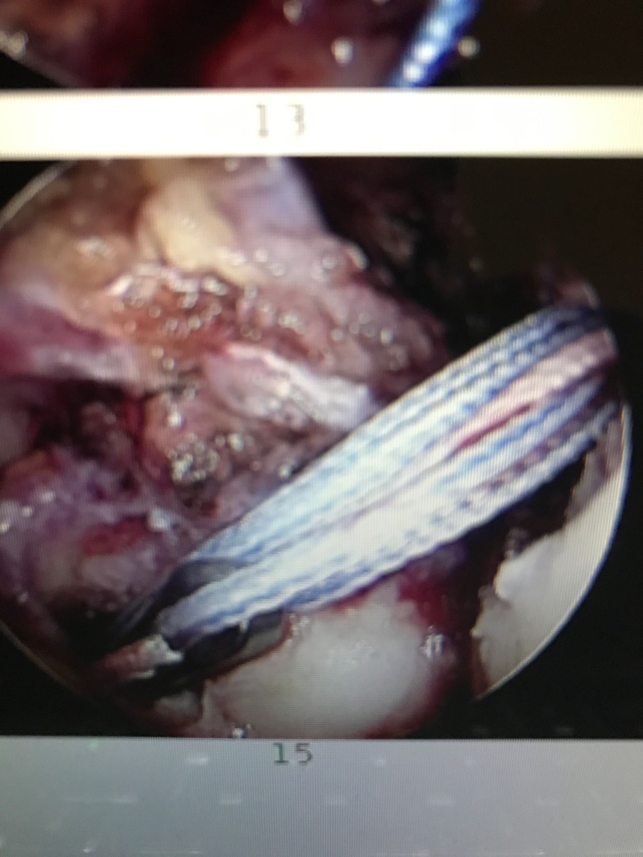 Juan Manuel Viruega Avalos-13