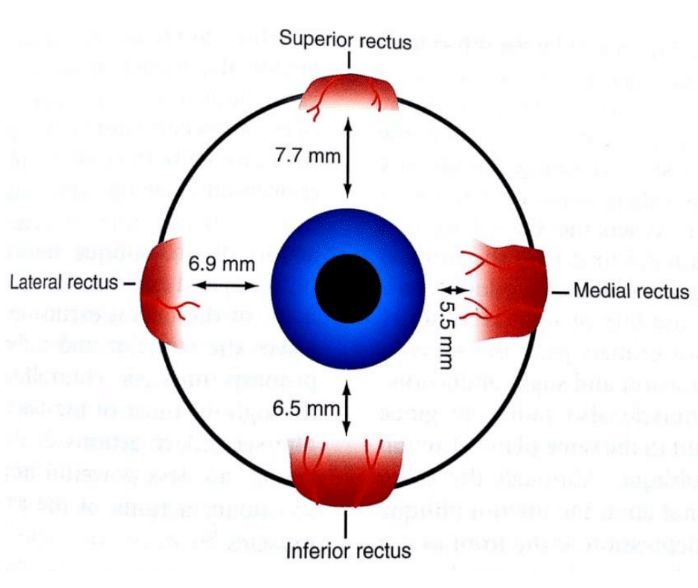 Julia Calderon Aguilar-1
