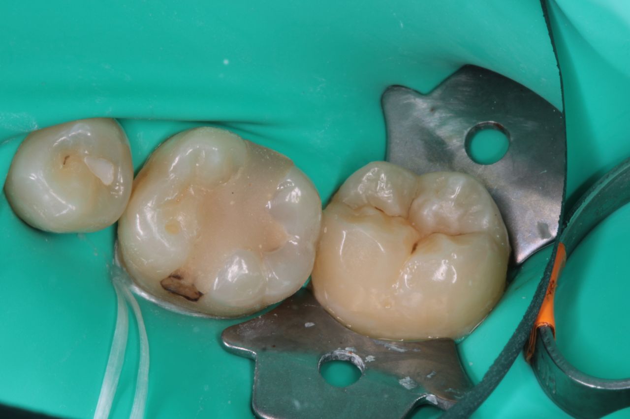 David Alan Escamilla Álvarez-6