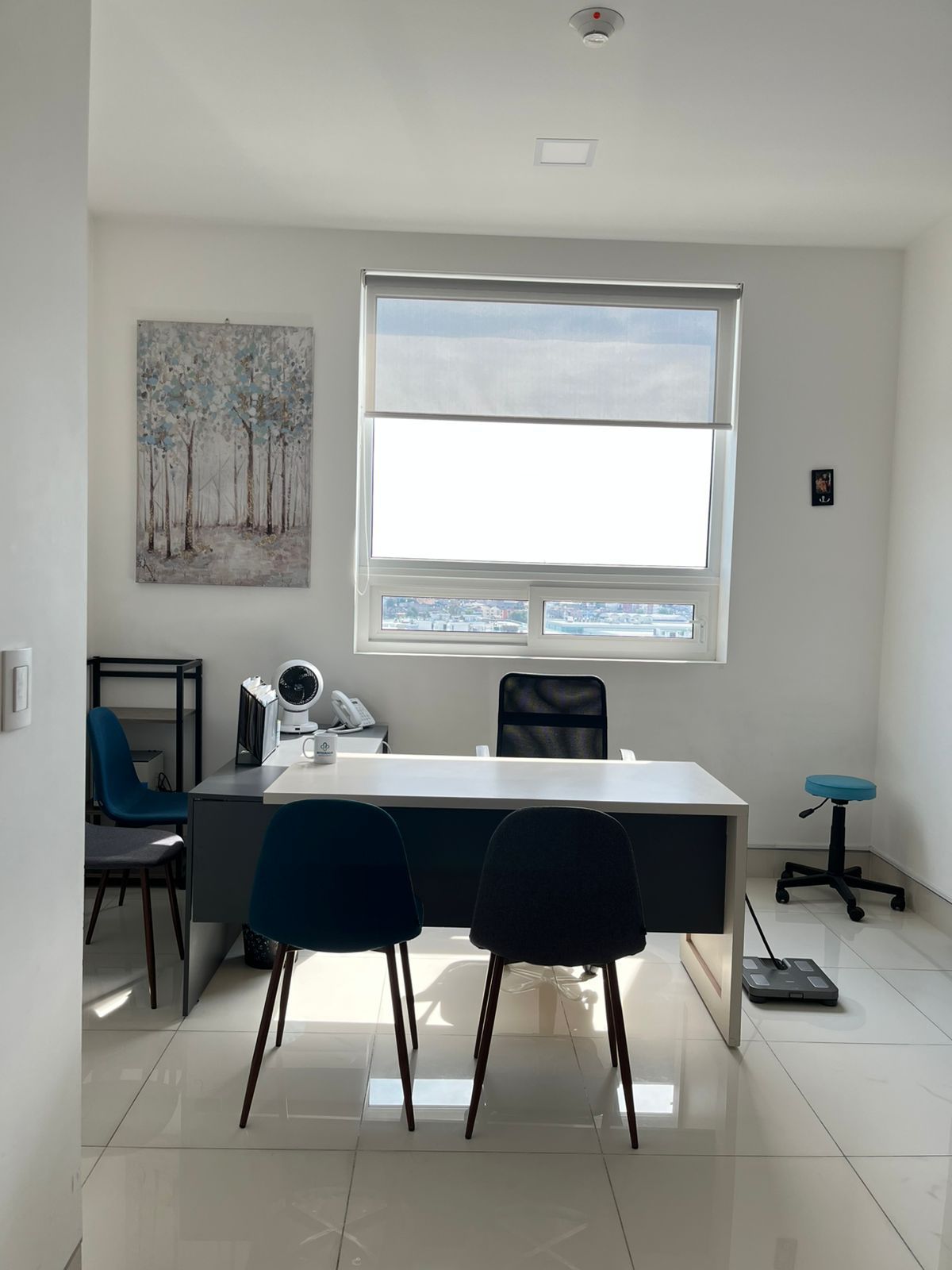 Alicia Gabriela Valeriano Reyes-4