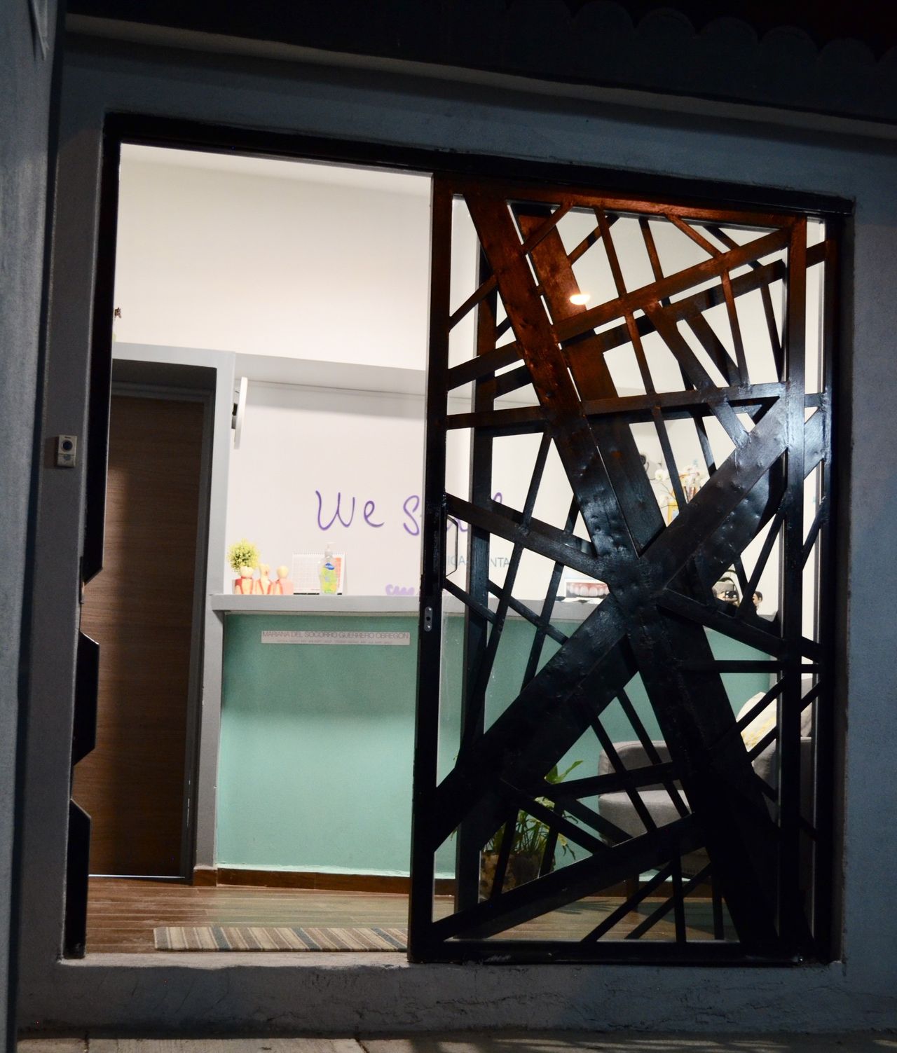 Mariana Guerrero Obregón-1