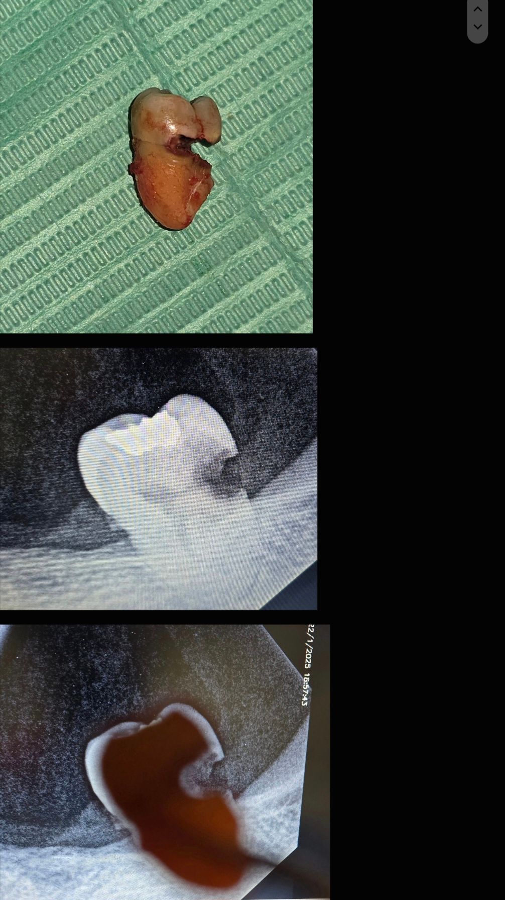 Aimée Quiroz Mendoza-10