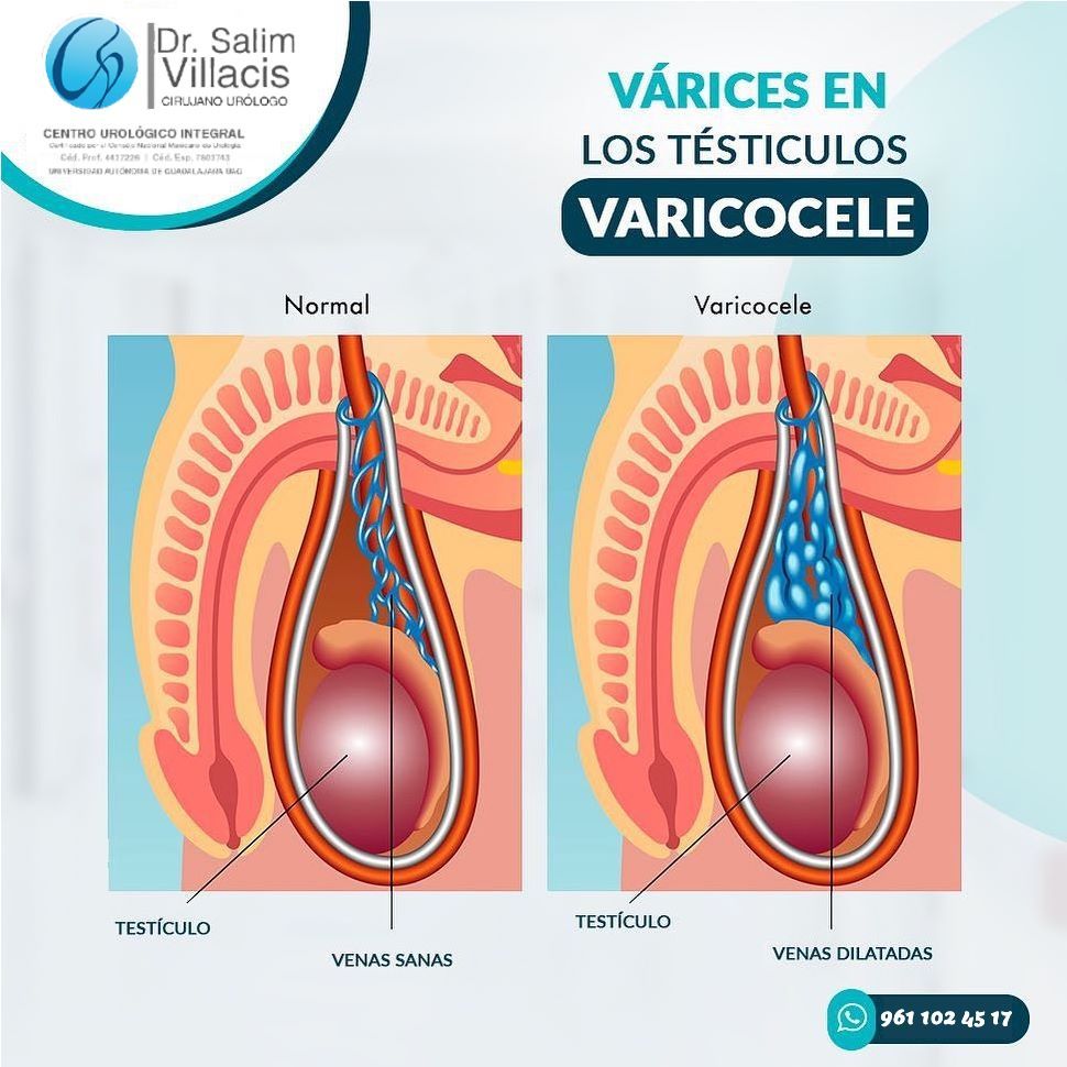 Salim Antonio Villacis Fonseca-5