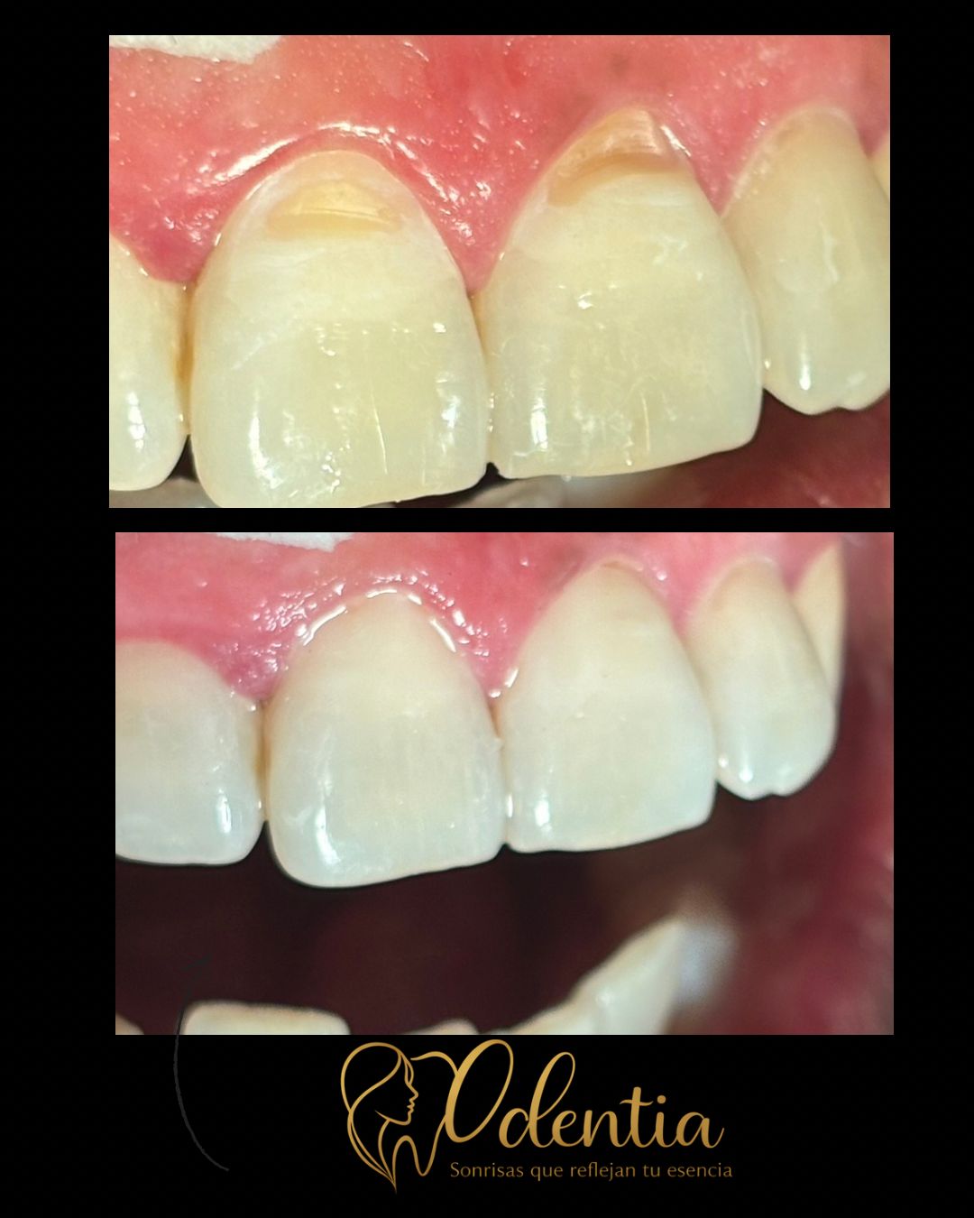 María Guadalupe Moreno Valencia-16