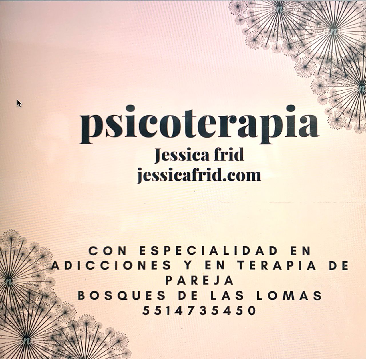 Jessica Frid Corenstein-16