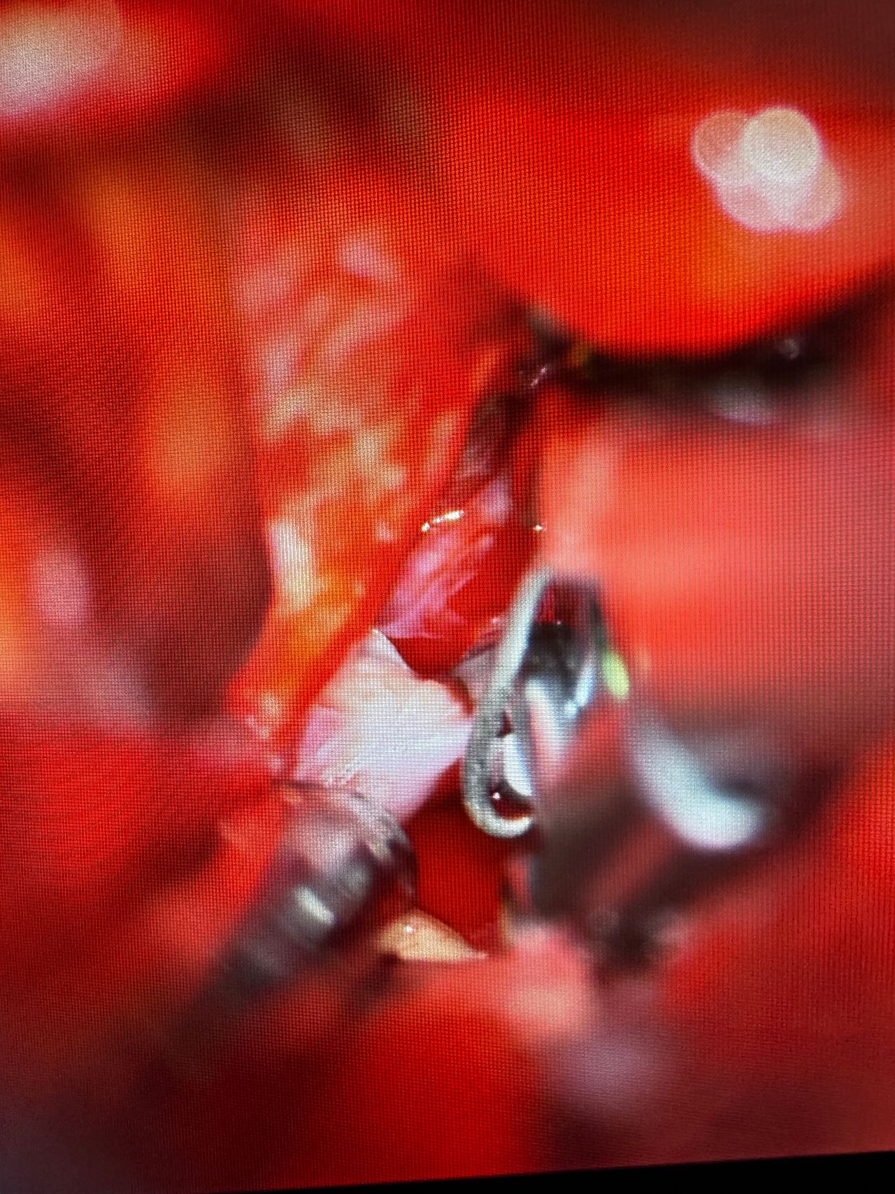 Alejandro Serrano Rubio-8