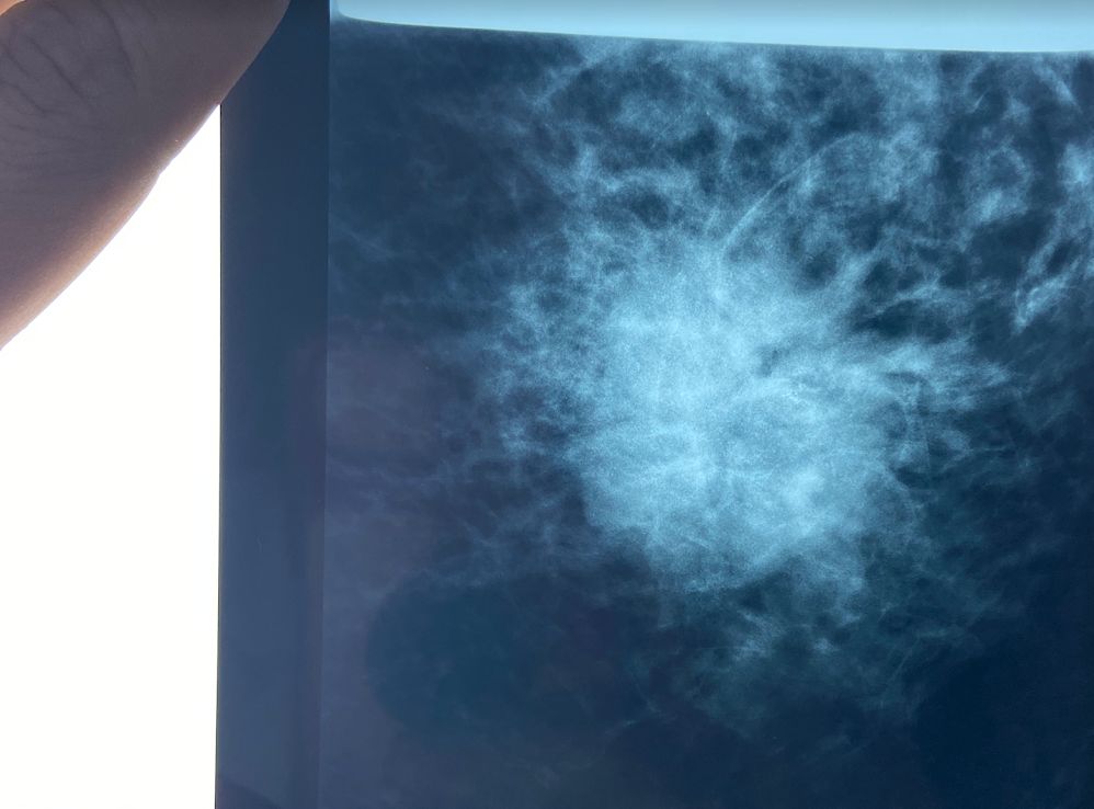 Julio Fernando Muñiz Jiménez-5