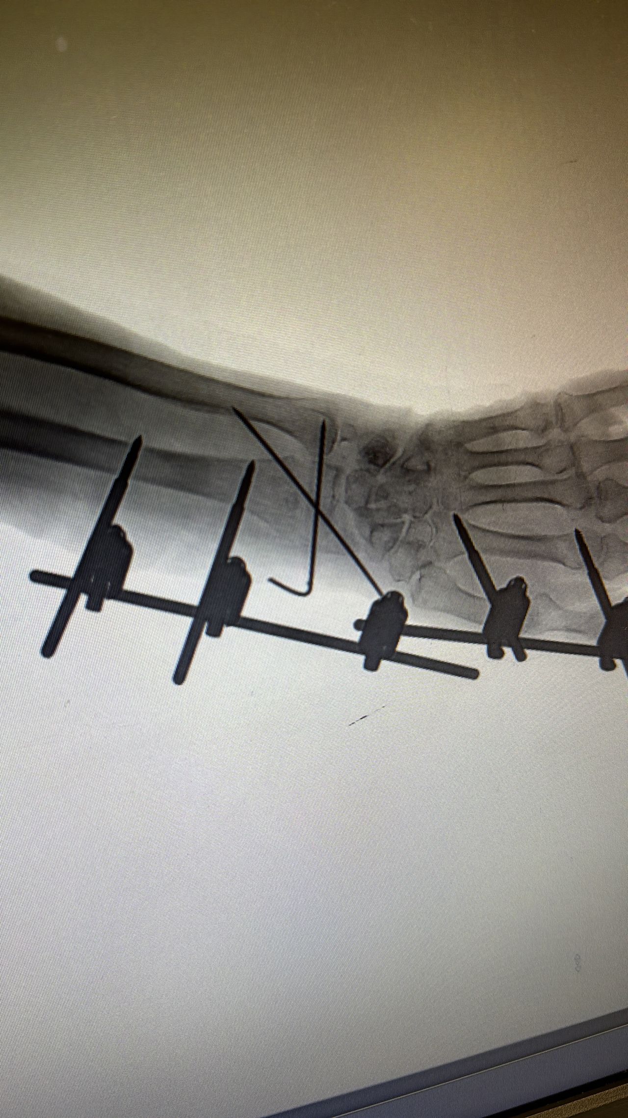 Benjamín Contreras Muñoz-4