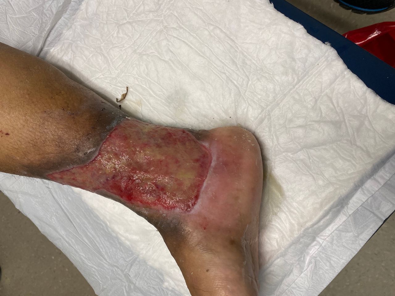 Susana Contreras Reyes-15