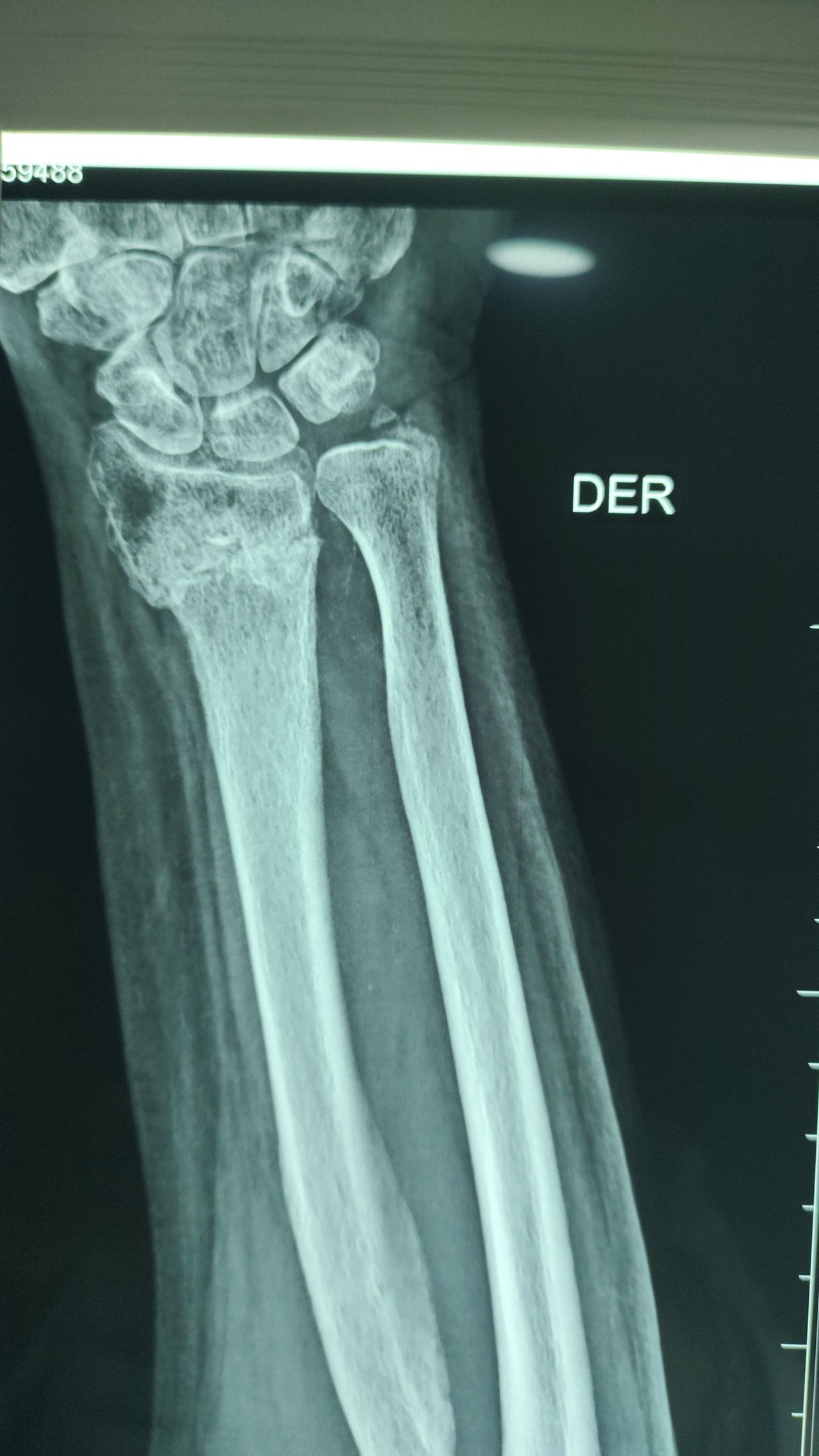 Lizeth Patricia Mena Rivas-25