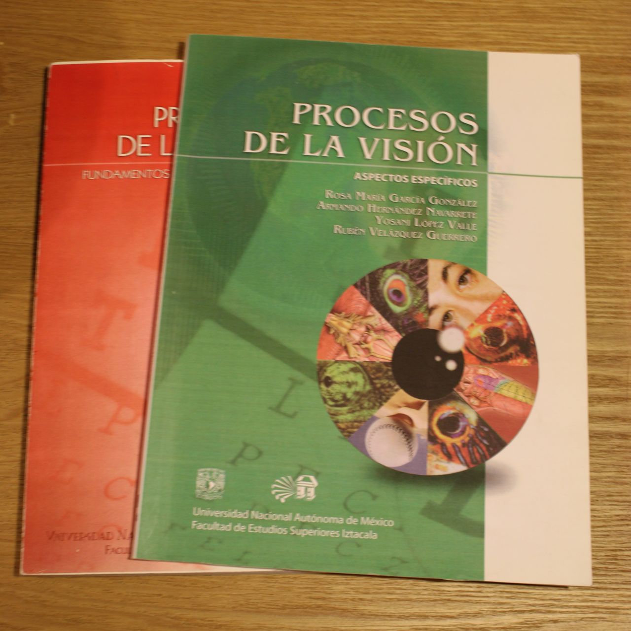 Yosani López Valle-17