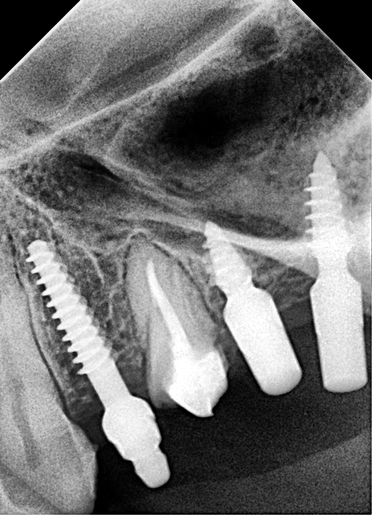 Enrique Sanroman Fitch-3