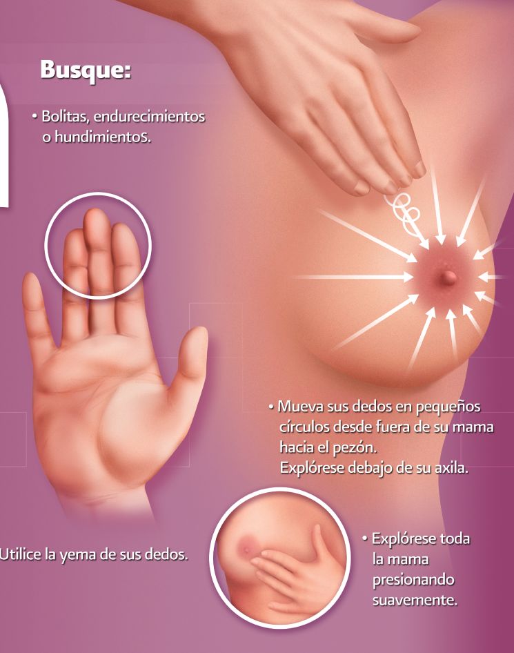 Laura Judith Quintanar Lugo-8