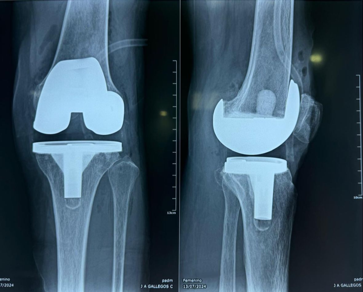 José Alberto Gallegos Cárdenas-1