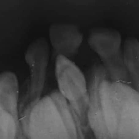 Luis Fernando Galicia Chacón-18