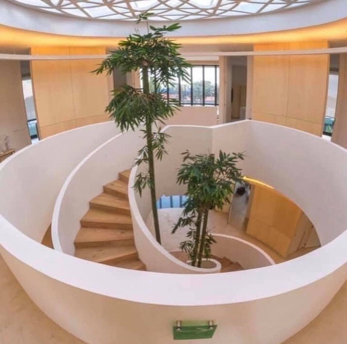 Andrea Zuñiga Costa-3