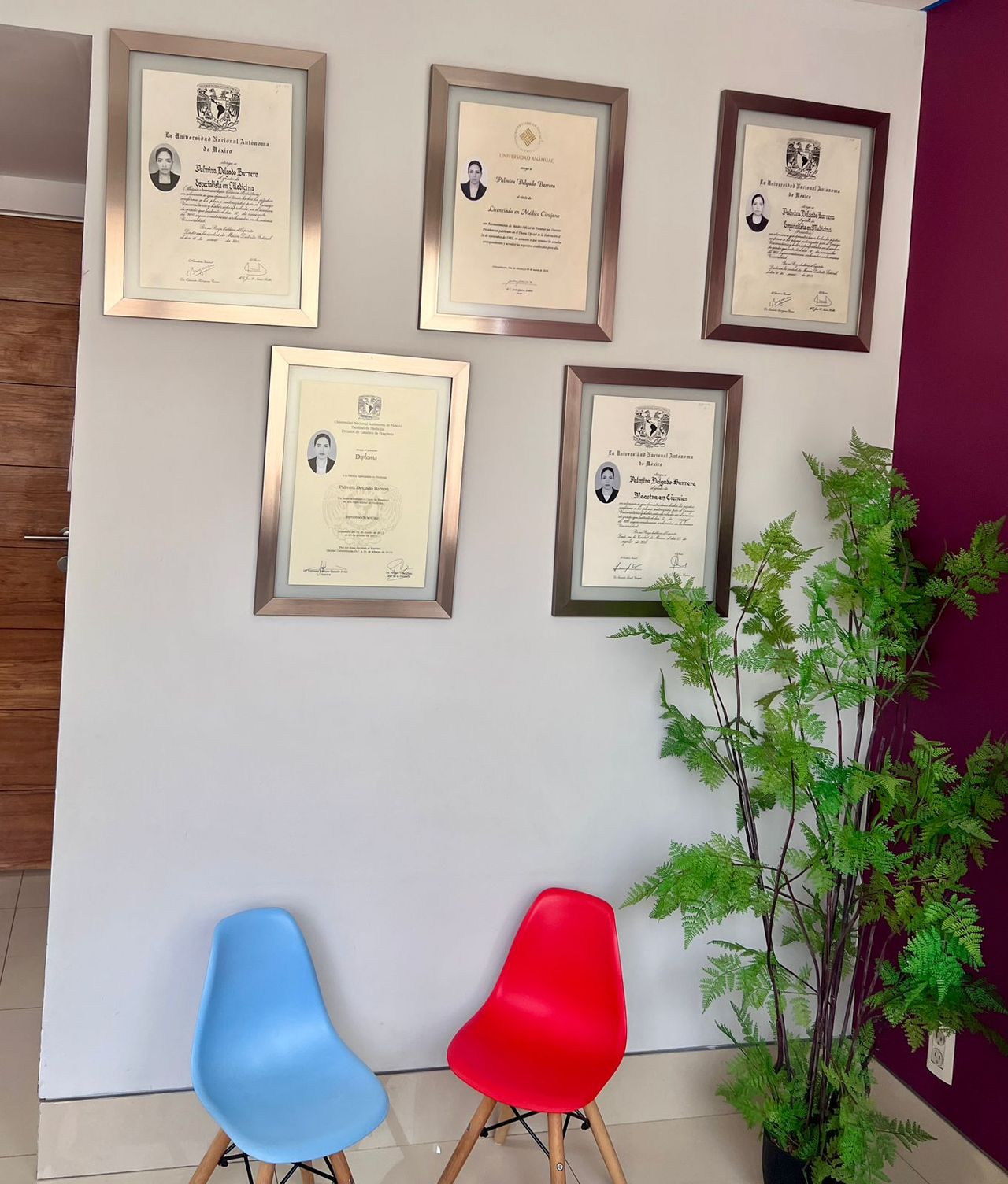 Palmira Delgado Barrera-4