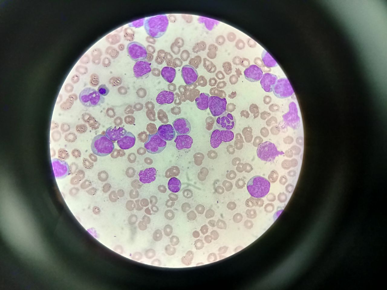 Noé Benjamín Vega Tapia-0