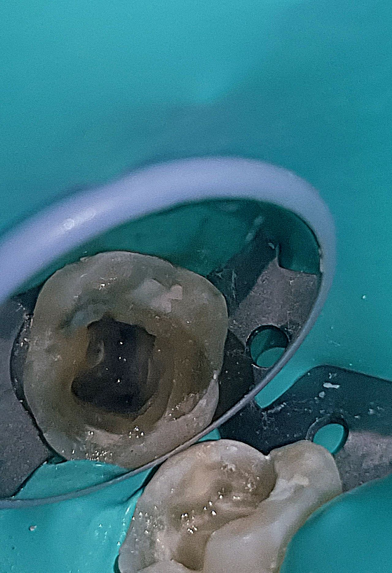 Fabiola Arcos Huesca-31