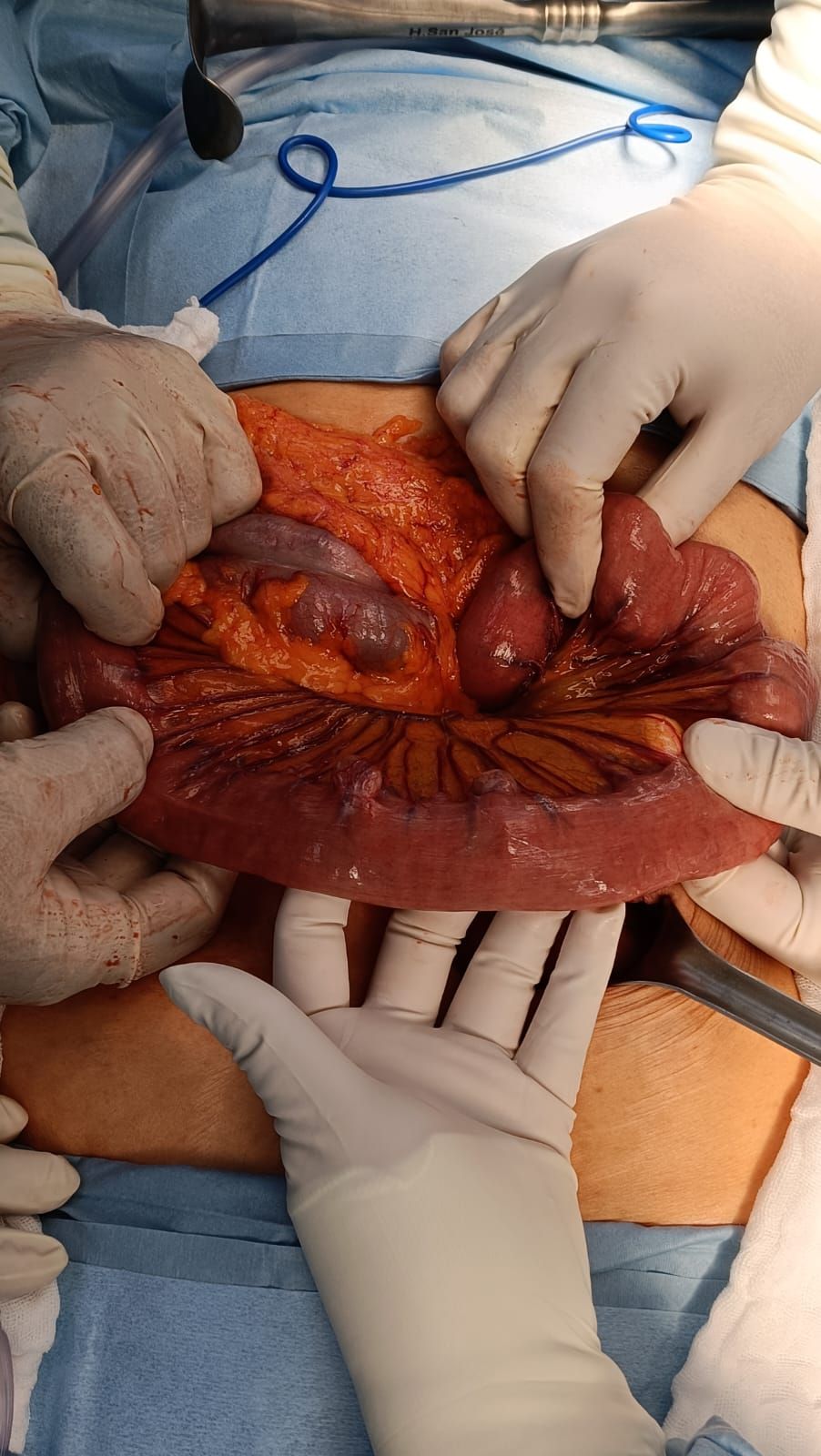 Monica Isabel Clavel Nicolas-11