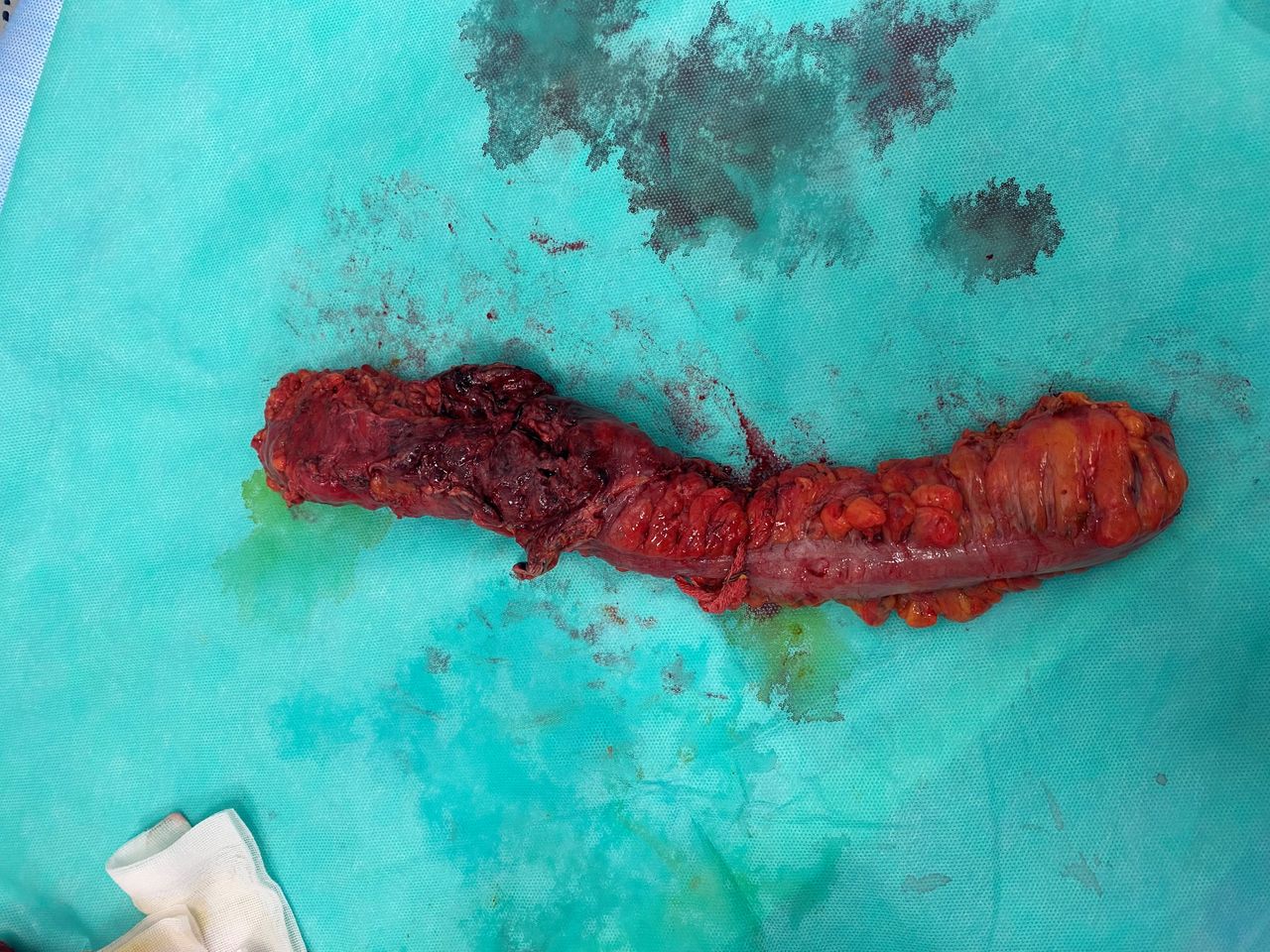 Mariann Barajas Grijalva-5