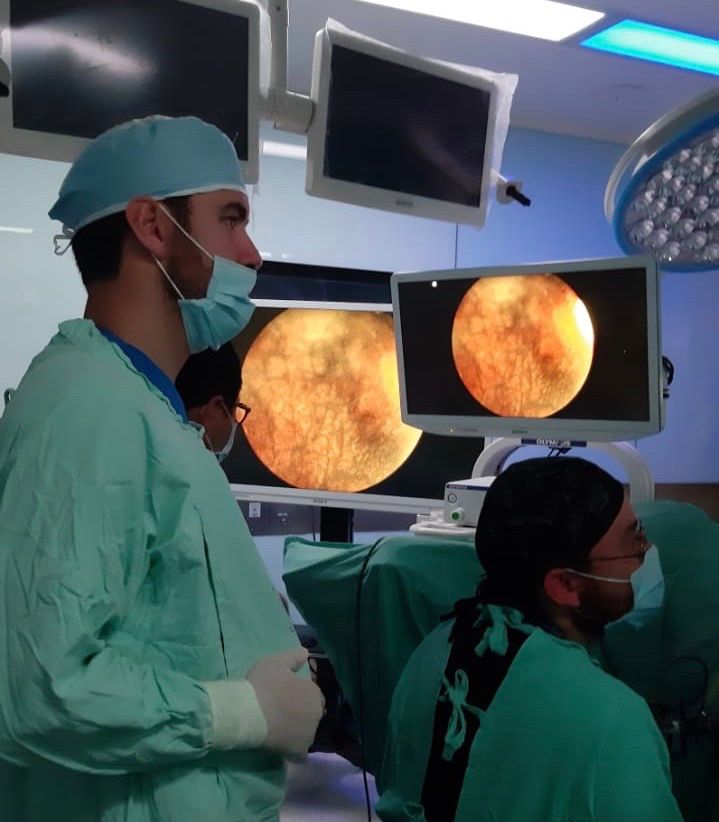 Alejandro Ibarra Ordóñez-10