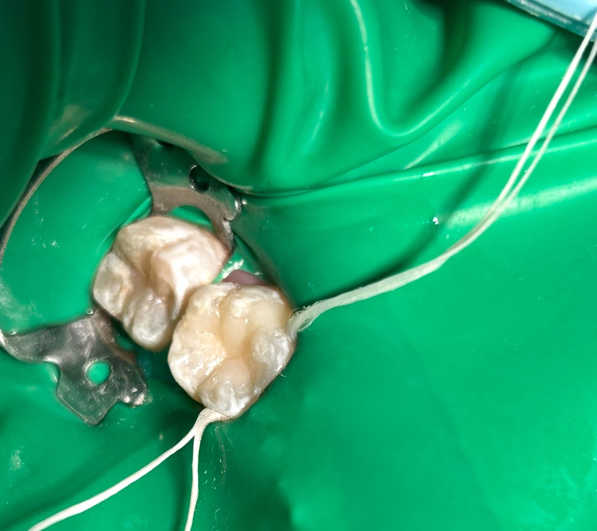 Sandra Carolina Cigala Martínez-11