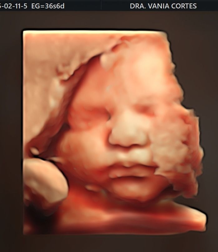 Vania Itzel Cortes Cernas-3