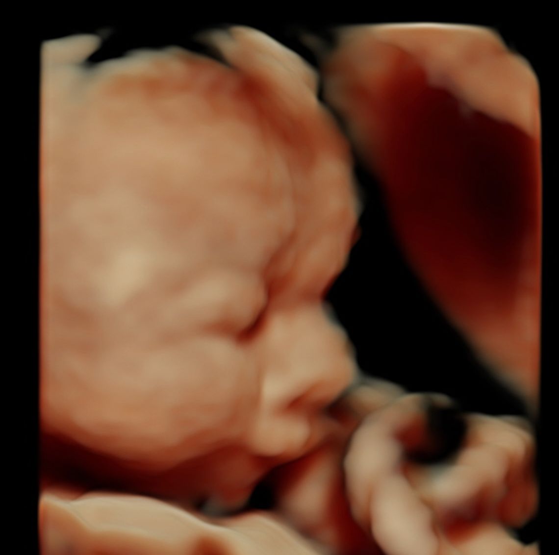 Ramón Mendoza Mares-2