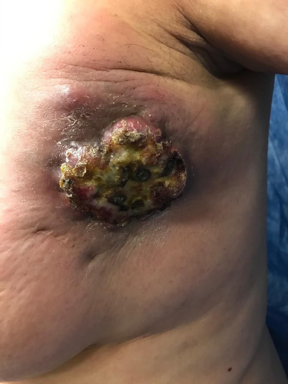 Sandra Faviola Dávila Molina-26