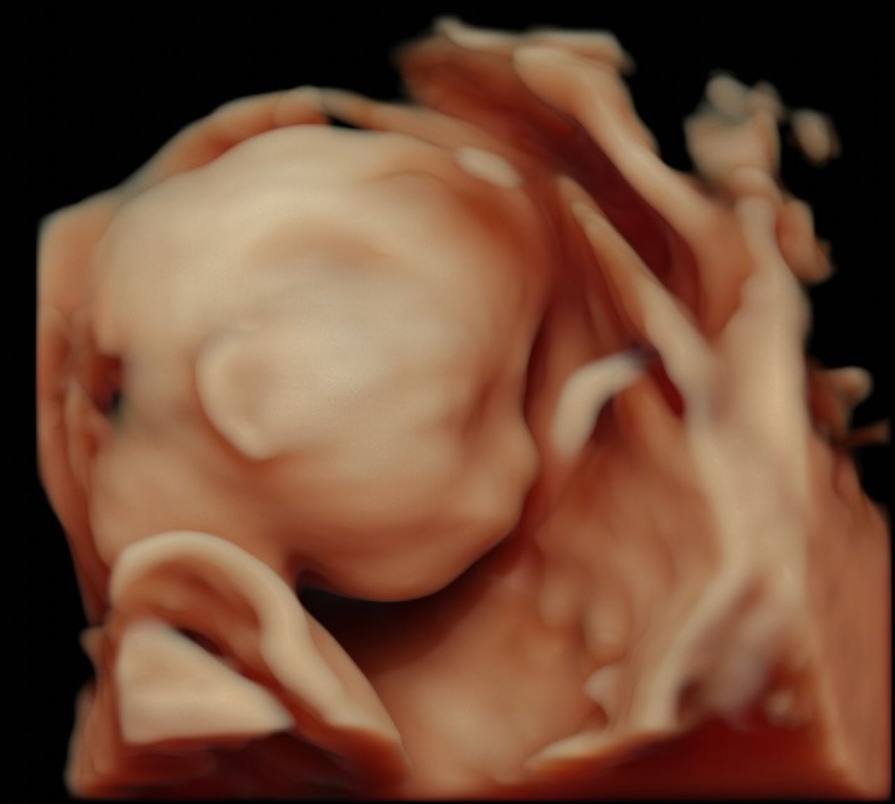 Ramón Mendoza Mares-4