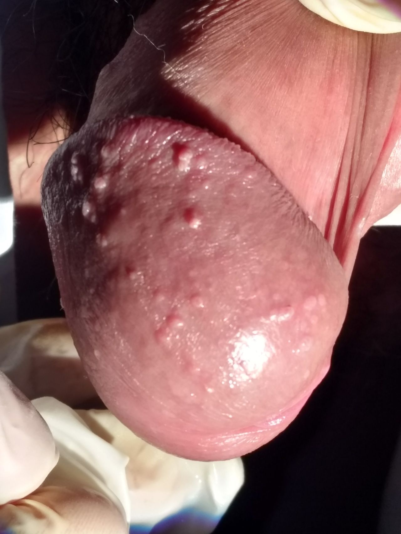 Auria Viridiana Avendaño Perez-4