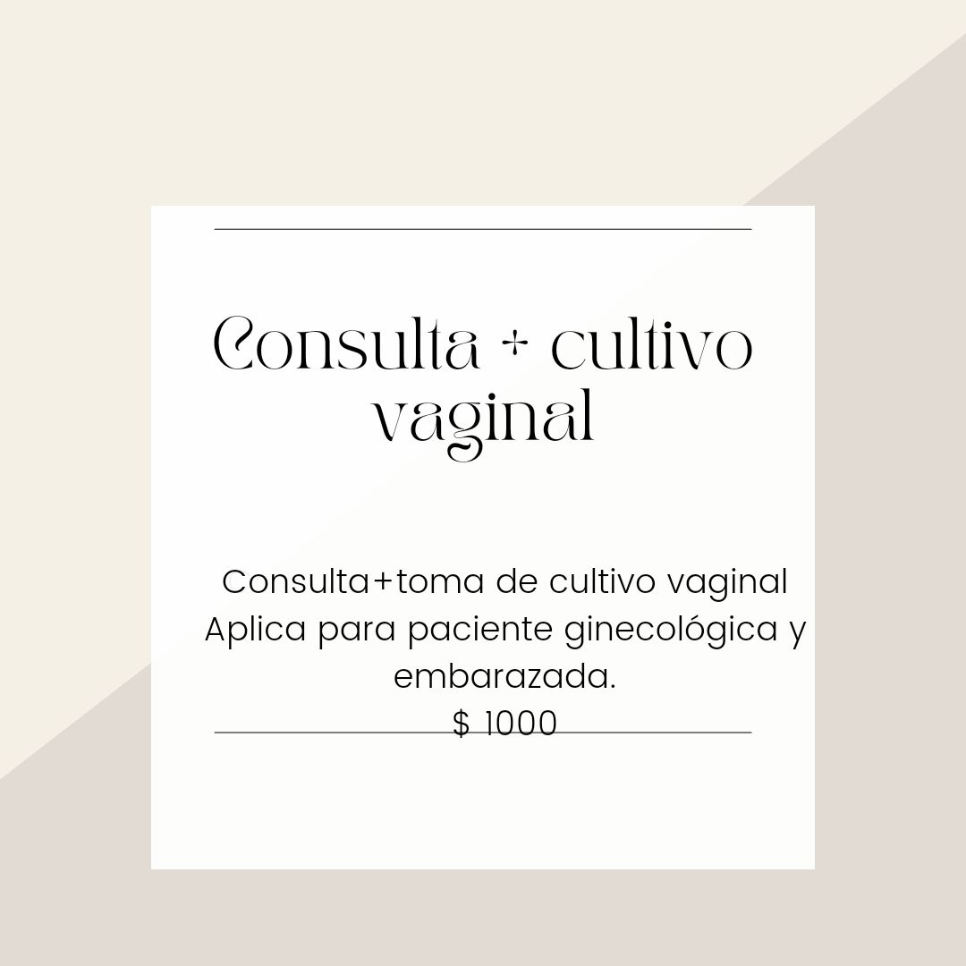 María José Rodríguez Gutiérrez-12