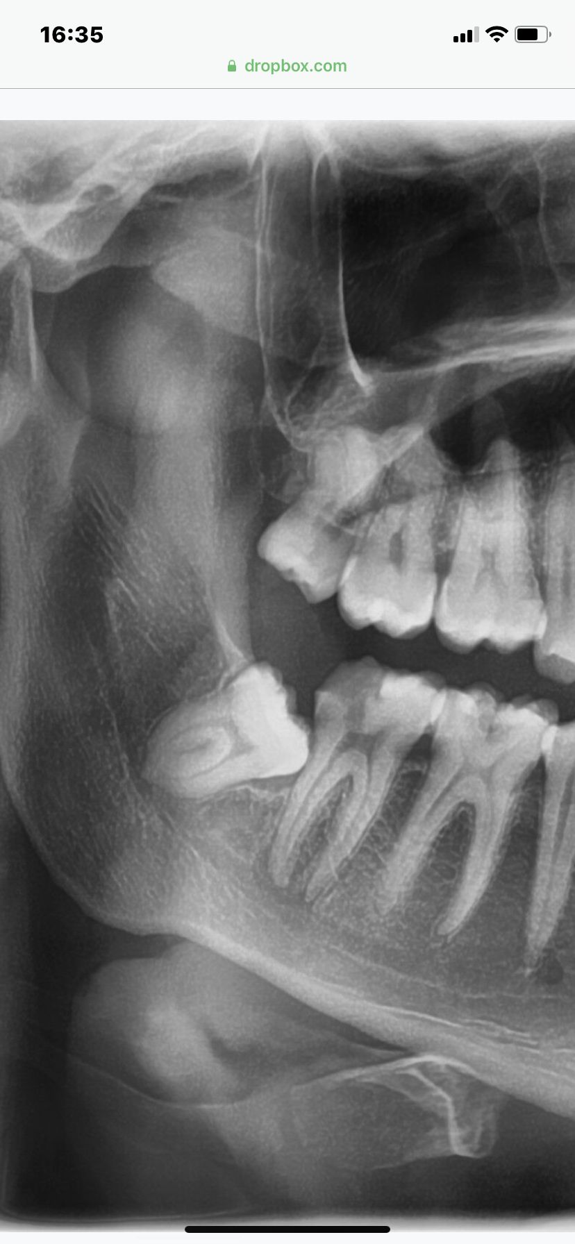 María Teresa Gómez Serrano-7