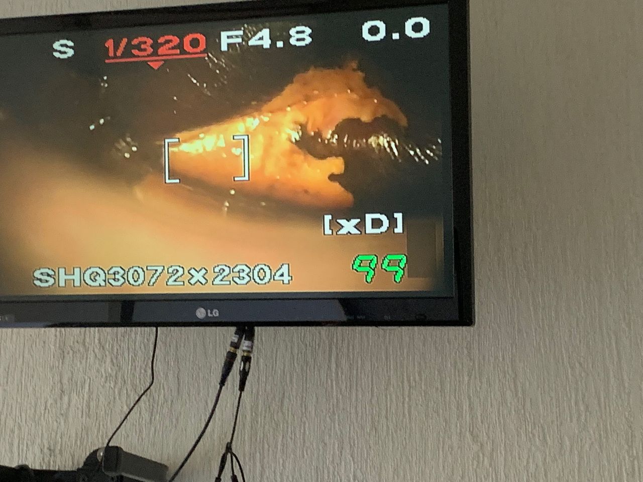 Auria Viridiana Avendaño Perez-6